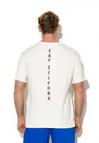 Футболка мужская Prism t-shirt FRND For Friends