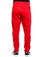 Чоловічі штани FRND For Friends Booze червоного кольору (3765023)