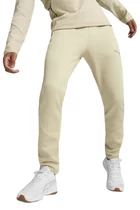 Спортивные штаны мужские Puma EVOSTRIPE Pants бежевого цвета