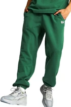 Спортивні штани чоловічі Puma Downtown Sweatpants зеленого кольору (53825037)