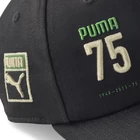 Кепка женская-мужская Puma PRIME BB Cap Anniversary черного цвета