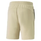 Шорти чоловічі Puma EVOSTRIPE Shorts молочного кольору