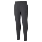 Спортивные брюки мужские Puma Evostripe Core Pants темно-серого цвета