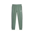 Спортивні штани жіночі Puma ESS Tape Sweatpants евкаліптового кольору