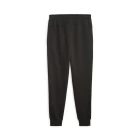 Спортивные брюки мужские Puma MAPF1 ESS Fleece Pants черного цвета