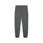 Спортивные брюки мужские Puma CLASSICS Sweatpants серого цвета