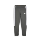 Спортивные штаны мужские Puma EVOSTRIPE Pants DK серого цвета