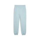 Спортивные брюки женские PUMA POWER Pants TR светло-голубого цвета