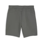 Спортивные шорты мужские PUMA EVOSTRIPE Shorts серого цвета