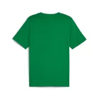 Футболка мужская Puma GRAPHICS Sneaker Box Tee зеленого цвета