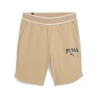 Спортивные шорты мужские PUMA SQUAD Shorts бежевого цвета