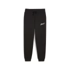 Спортивные штаны женские Puma ESS+ Script Pants FL черного цвета