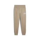 Спортивные штаны мужские PUMA SQUAD Sweatpants White бежевого цвета