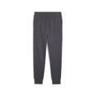 Штаны мужские Puma ESS ELEVATED Sweatpants серого цвета