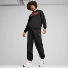 Штаны мужские Puma F1 ESS FL черного цвета