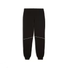 Спортивные штаны Puma BMW MMS SWEAT PANTS, REG/CC Unisex черного цвета