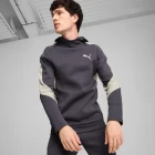 Худи мужские Puma EVOSTRIPE Hoodie фиолетового цвета