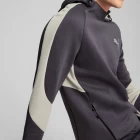 Худи мужские Puma EVOSTRIPE Hoodie фиолетового цвета