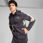 Кофта спортивная мужская Puma EVOSTRIPE Full-Zip Hoodie фиолетового цвета