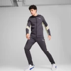 Кофта спортивная мужская Puma EVOSTRIPE Full-Zip Hoodie фиолетового цвета