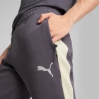 Спортивні штани чоловічі Puma EVOSTRIPE Pants фіолетового кольору