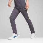 Спортивные мужские штаны Puma EVOSTRIPE Pants фиолетового цвета