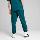 Спортивные мужские штаны Puma Classics Sweatpants синего цвета 53559790