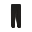 Штаны спортивные женские PUMA ESS ELEVATED Pants черного цвета