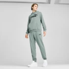 Спортивні штани чоловічі PUMA ESS No. 1 Logo Sweatpants Green Moon м'ятного кольору