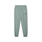 Спортивні штани чоловічі PUMA ESS No. 1 Logo Sweatpants Green Moon м'ятного кольору