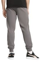 Спортивні штани чоловічі PUMA ESS No. 1 Logo Sweatpants Cast Iron