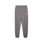 Спортивні штани чоловічі PUMA ESS No. 1 Logo Sweatpants Cast Iron