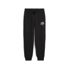 Спортивные штаны женские PUMA CLASS Sweatpants черного цвета