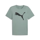 Футболка чоловіча PUMA M TAD ESS Solid Cat Tee CF Green Moon м'ятного кольору