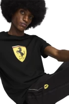 Спортивные штаны мужские PUMA Ferrari Race Sweatpants черного цвета