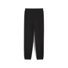 Спортивные штаны мужские PUMA Ferrari Race Sweatpants черного цвета