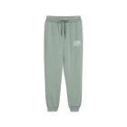 Спортивні штани чоловічі PUMA CLASS Sweatpants Green Moon