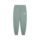 Спортивные штаны женские PUMA SCRIPT Comfort Sweatpants Green Moon