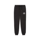 Спортивные штаны мужские PUMA CLASS Sweatpants черного цвета