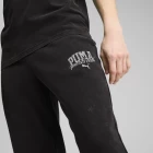 Спортивные штаны мужские PUMA CLASS Sweatpants черного цвета