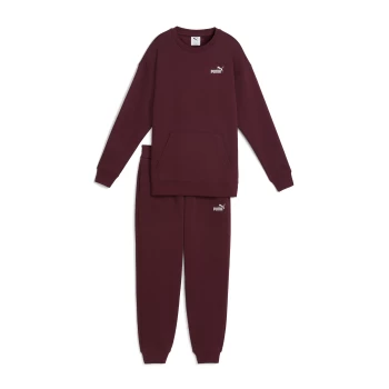 Спортивний костюм жіночий PUMA Sweat Suit Relaxed FL Ruby Shimmer бордового кольору