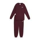 Спортивний костюм жіночий PUMA Sweat Suit Relaxed FL Ruby Shimmer бордового кольору