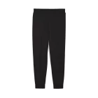 Штаны спортивные женские PUMA ESS ELEVATED Sweatpants черного цвета