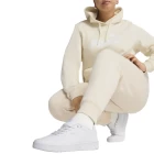 Штаны спортивные женские PUMA ESS No. 1 Logo Sweatpants Alpine Snow