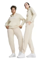 Штаны спортивные женские PUMA ESS No. 1 Logo Sweatpants Alpine Snow
