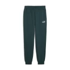 Штаны спортивные мужские PUMA ESS No. 1 Logo Sweatpants Green Terrain