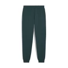 Штаны спортивные мужские PUMA ESS No. 1 Logo Sweatpants Green Terrain