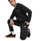 Штаны спортивные мужские PUMA ESS No. 1 Logo Sweatpants черного цвета