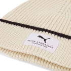 Шапка PUMA CLASS Mid Crown Unisex Beanie Alpine Snow