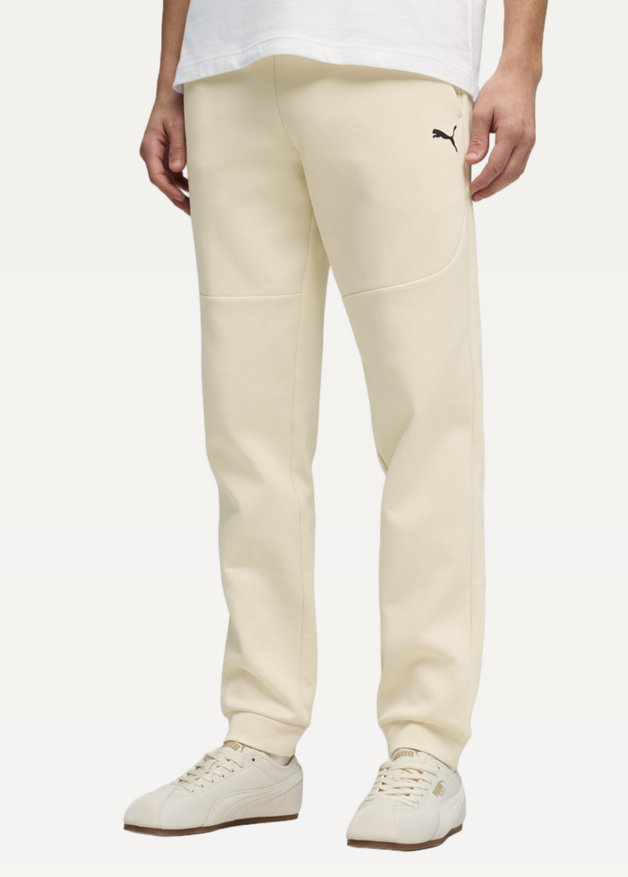 Спортивні штани чоловічі PUMA PUMATECH Pants Alpine Snow